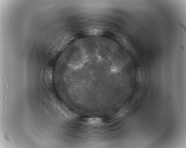 X0000103290363200808291338