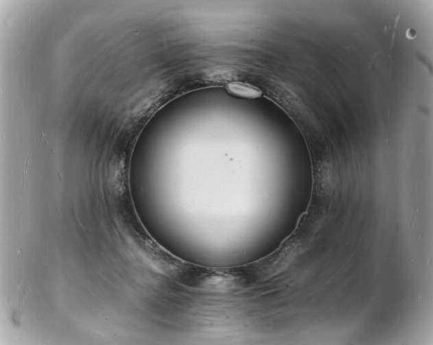 X0000103290364200808291338