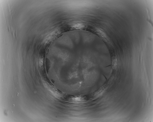 X0000103290365200808291338