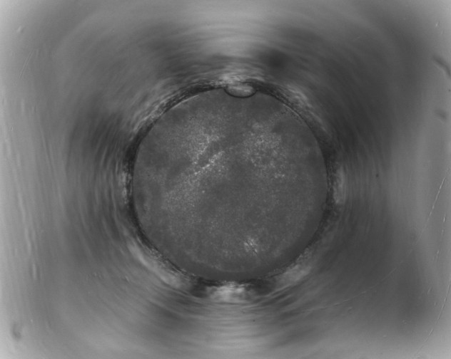 X0000103290366200808291338