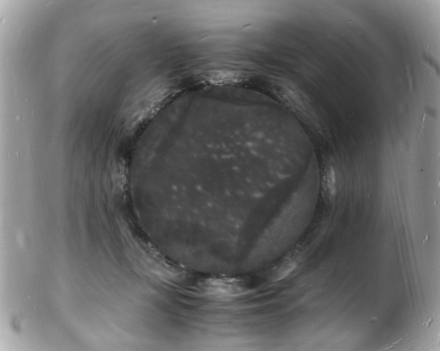 X0000103290367200808291338