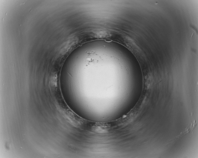 X0000103290368200808291338