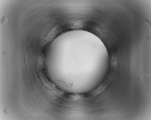 X0000103290370200808291338