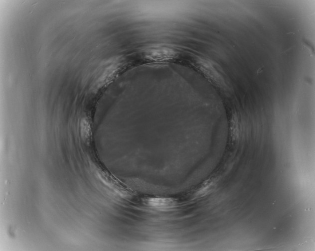 X0000103290371200808291339