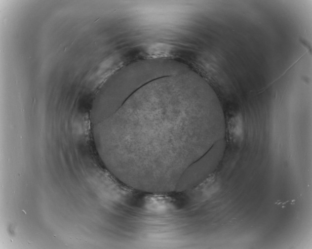 X0000103290372200808291339