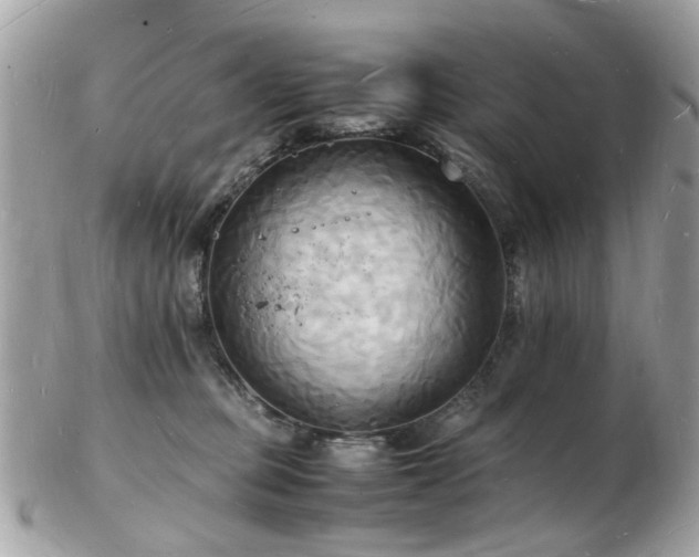 X0000103290373200808291339