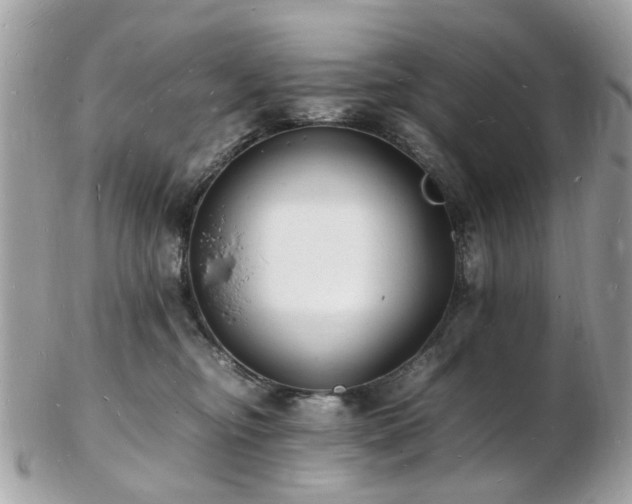 X0000103290374200808291339