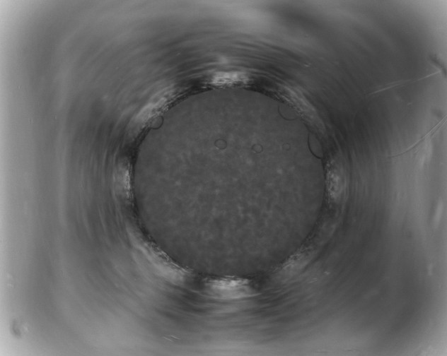 X0000103290375200808291339