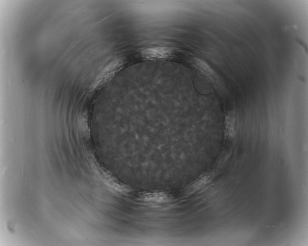 X0000103290377200808291339