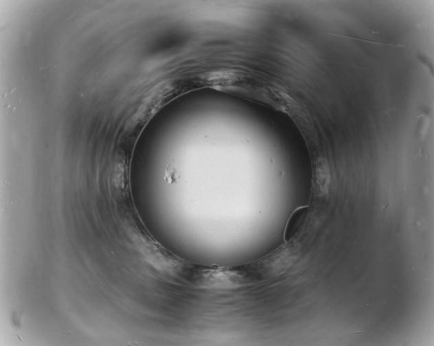 X0000103290379200808291339