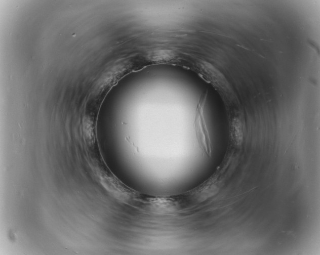 X0000103290380200808291339