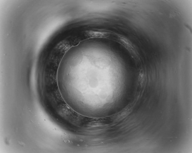 X0000103290381200808291339