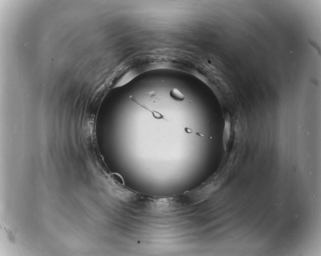 X0000103290382200808291339