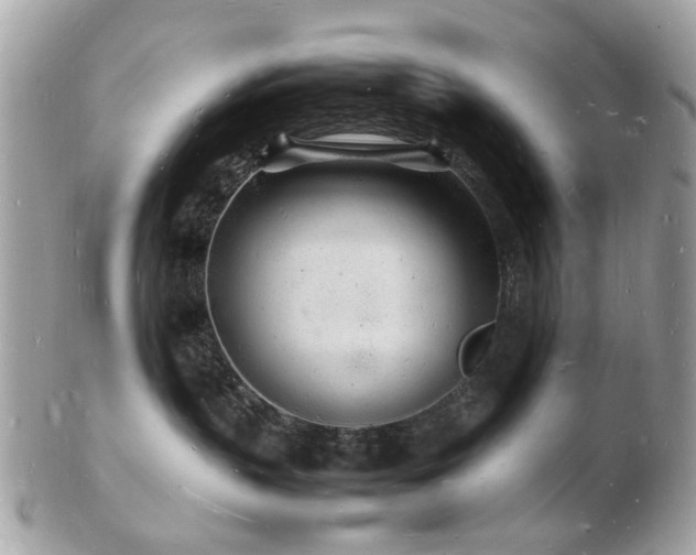 X0000103290383200808291339