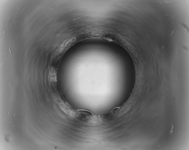 X0000103290384200808291339