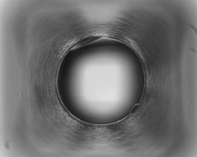 X0000103290385200808291338