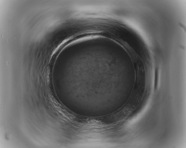 X0000103290387200808291338