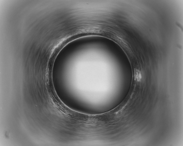 X0000103290388200808291338