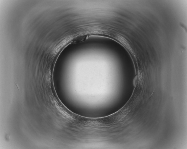 X0000103290389200808291338