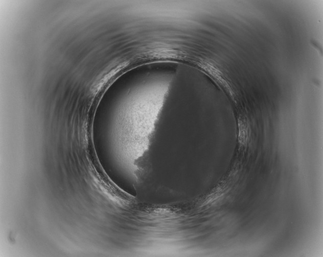 X0000103290390200808291338