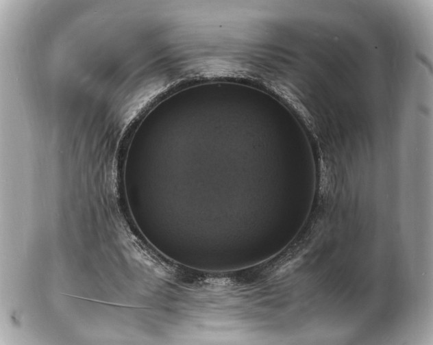 X0000103290391200808291338