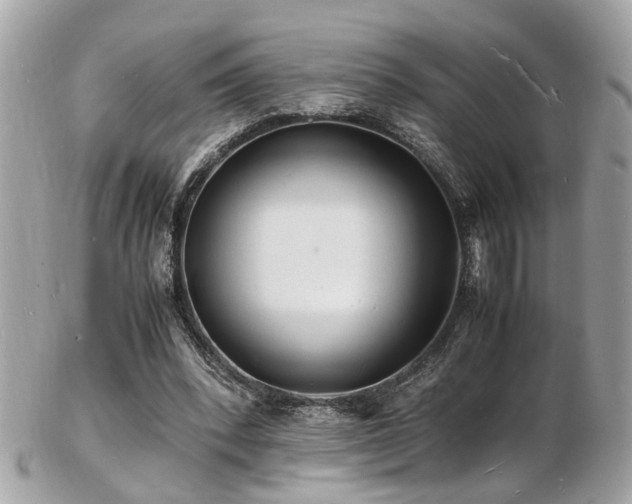 X0000103290392200808291338