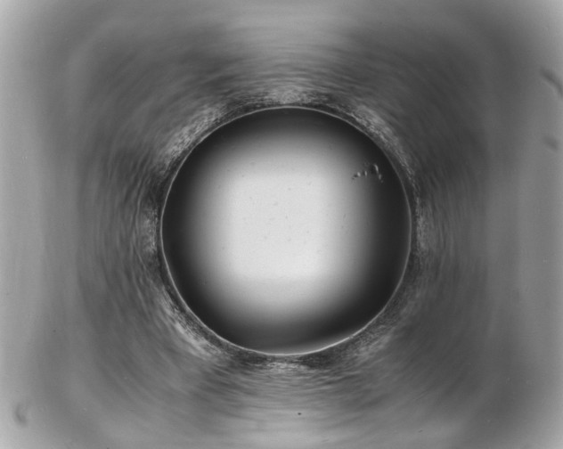 X0000103290393200808291338