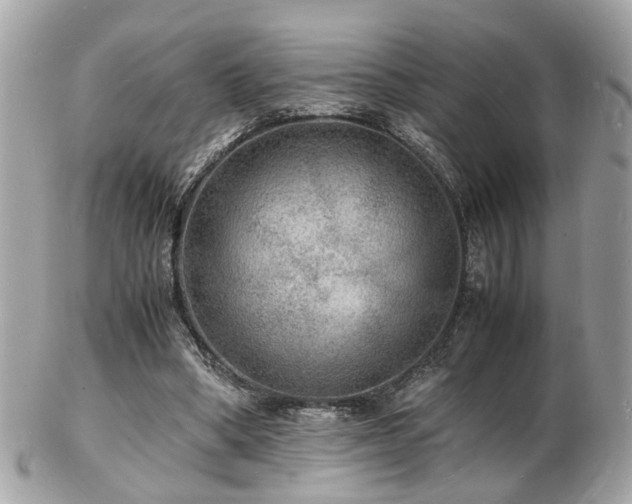 X0000103290394200808291338