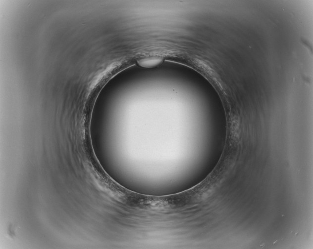 X0000103290395200808291338