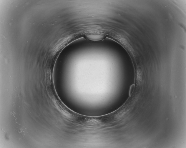 X0000103290397200808291338