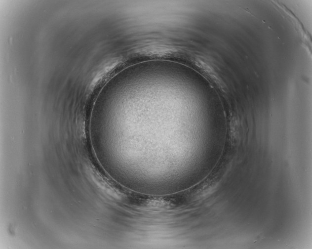 X0000103290399200808291338