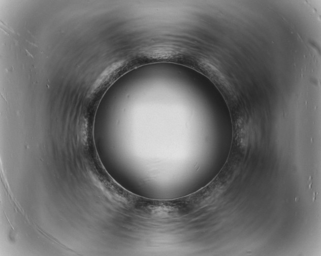 X0000103290400200808291338