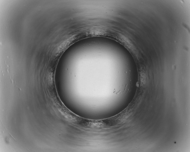 X0000103290401200808291338