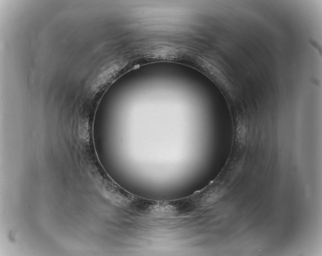 X0000103290403200808291338