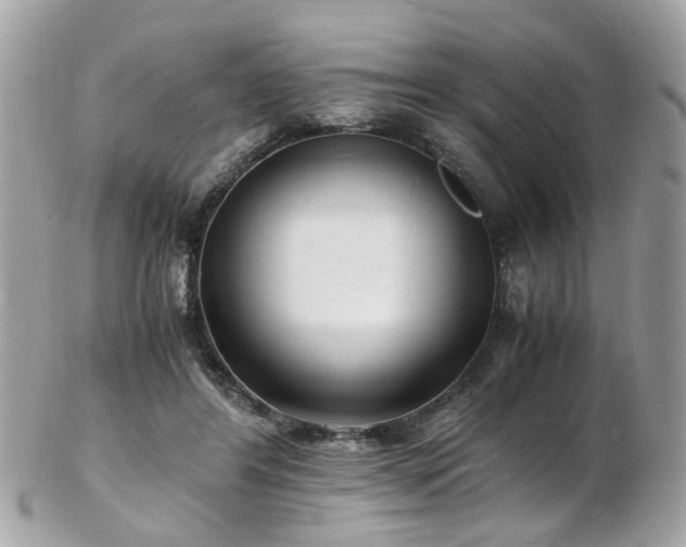 X0000103290404200808291338