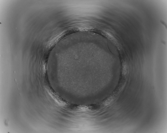 X0000103290405200808291338