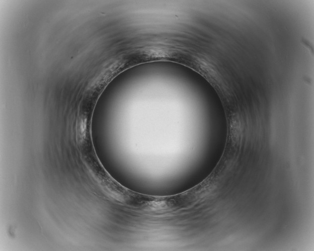 X0000103290406200808291338