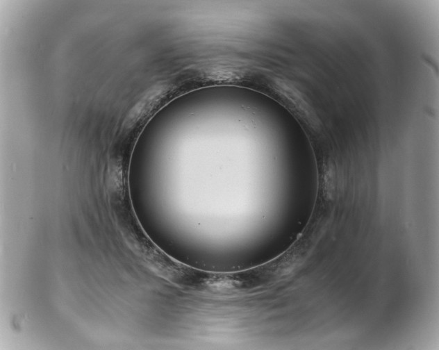 X0000103290407200808291338