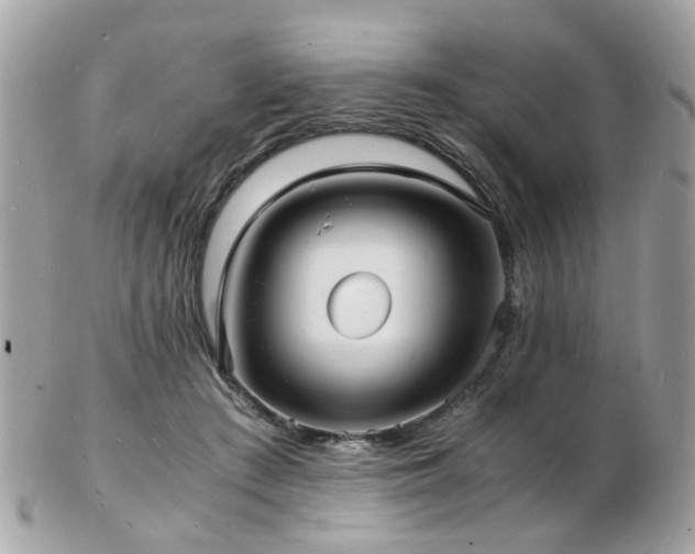 X0000103290409200808291338