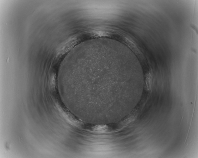 X0000103290410200808291338