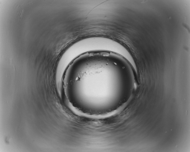 X0000103290411200808291337