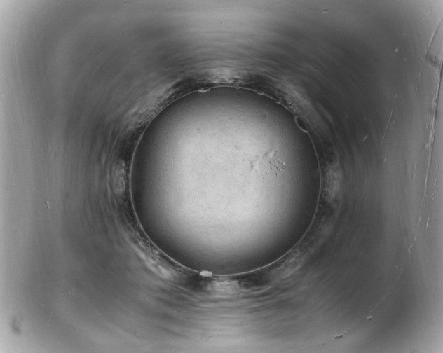 X0000103290413200808291337