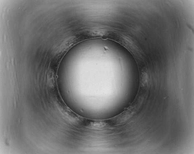 X0000103290414200808291337