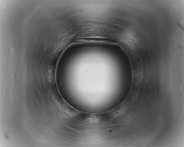 X0000103290416200808291337