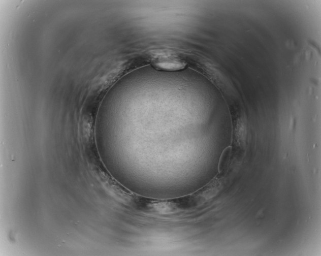 X0000103290417200808291337