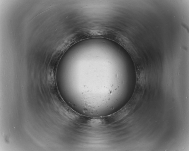 X0000103290418200808291337