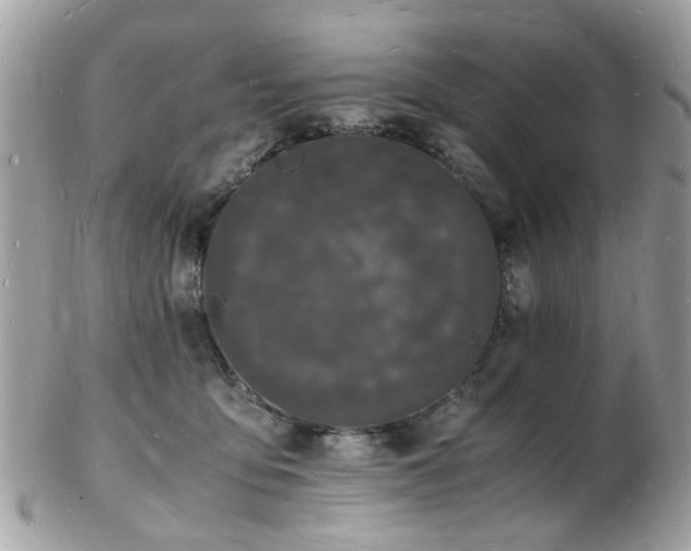 X0000103290419200808291337