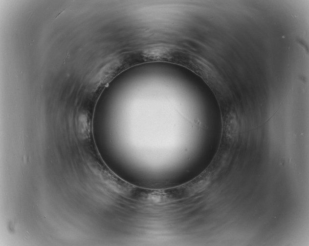 X0000103290420200808291337