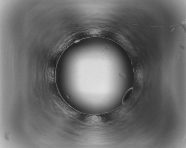 X0000103290421200808291337