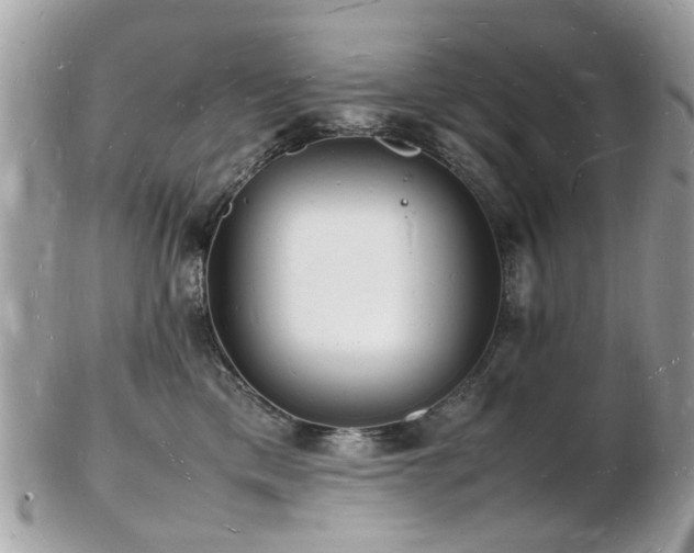 X0000103290425200808291337